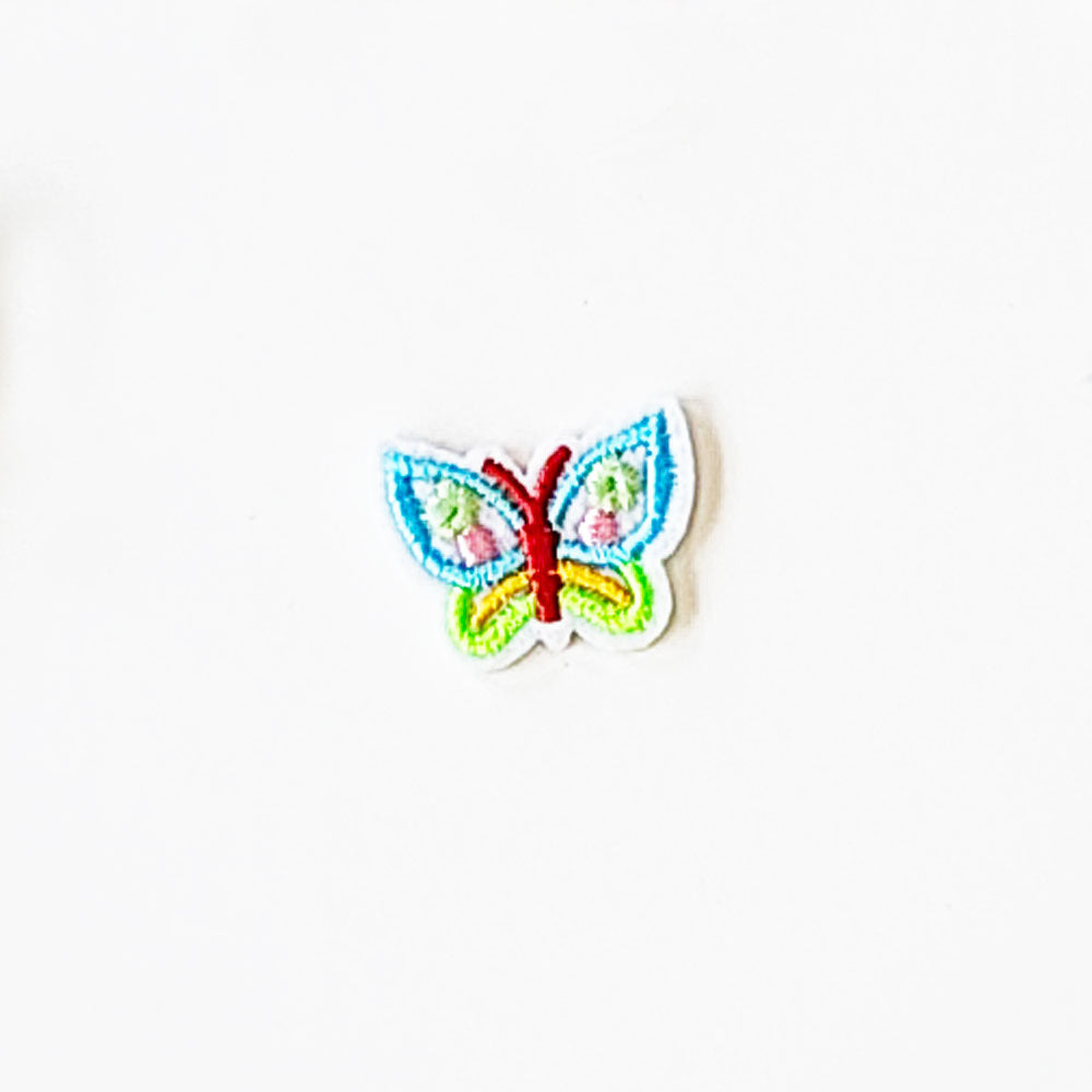 Small Green Blue Butterfly