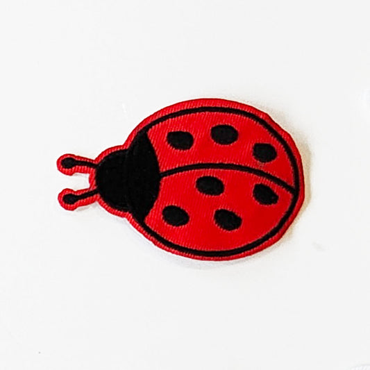 Large Lady Bug